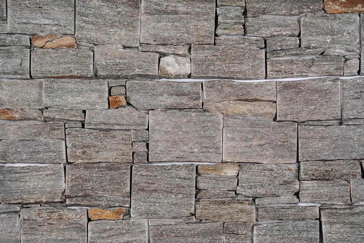 ESMERALDA-TACO-COVER-copia