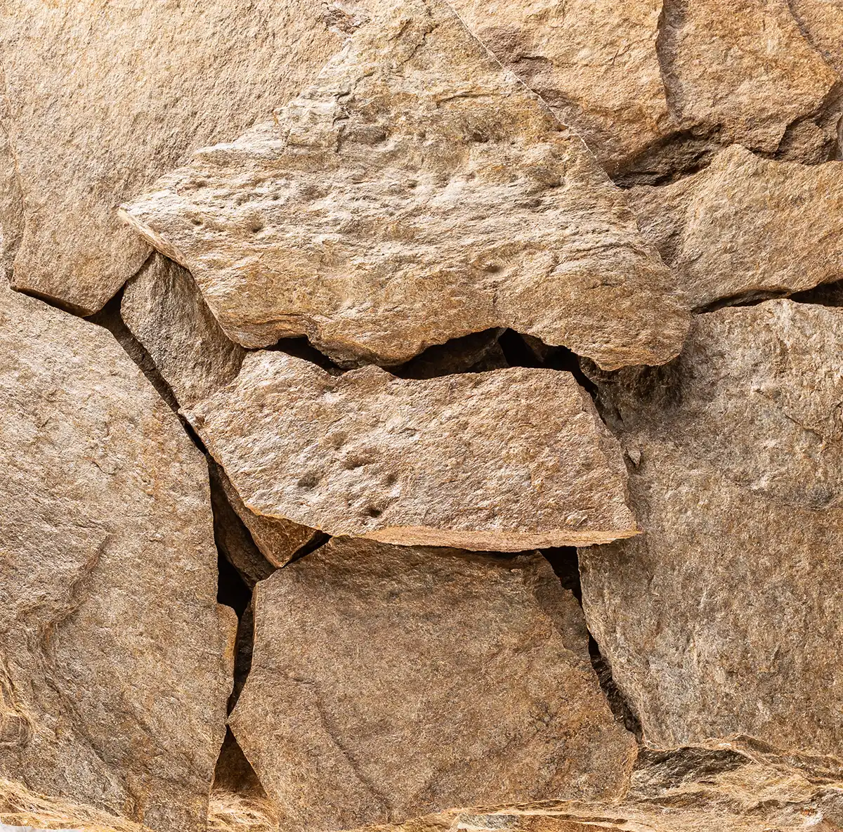 ASPERON-MARRON-COVER-copia