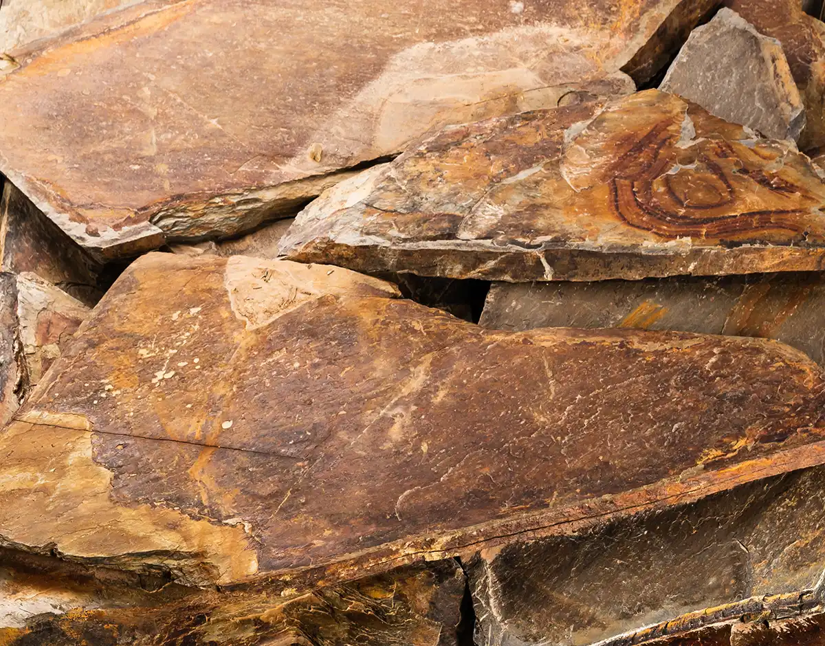 MULTICOLOR-COVER-copia