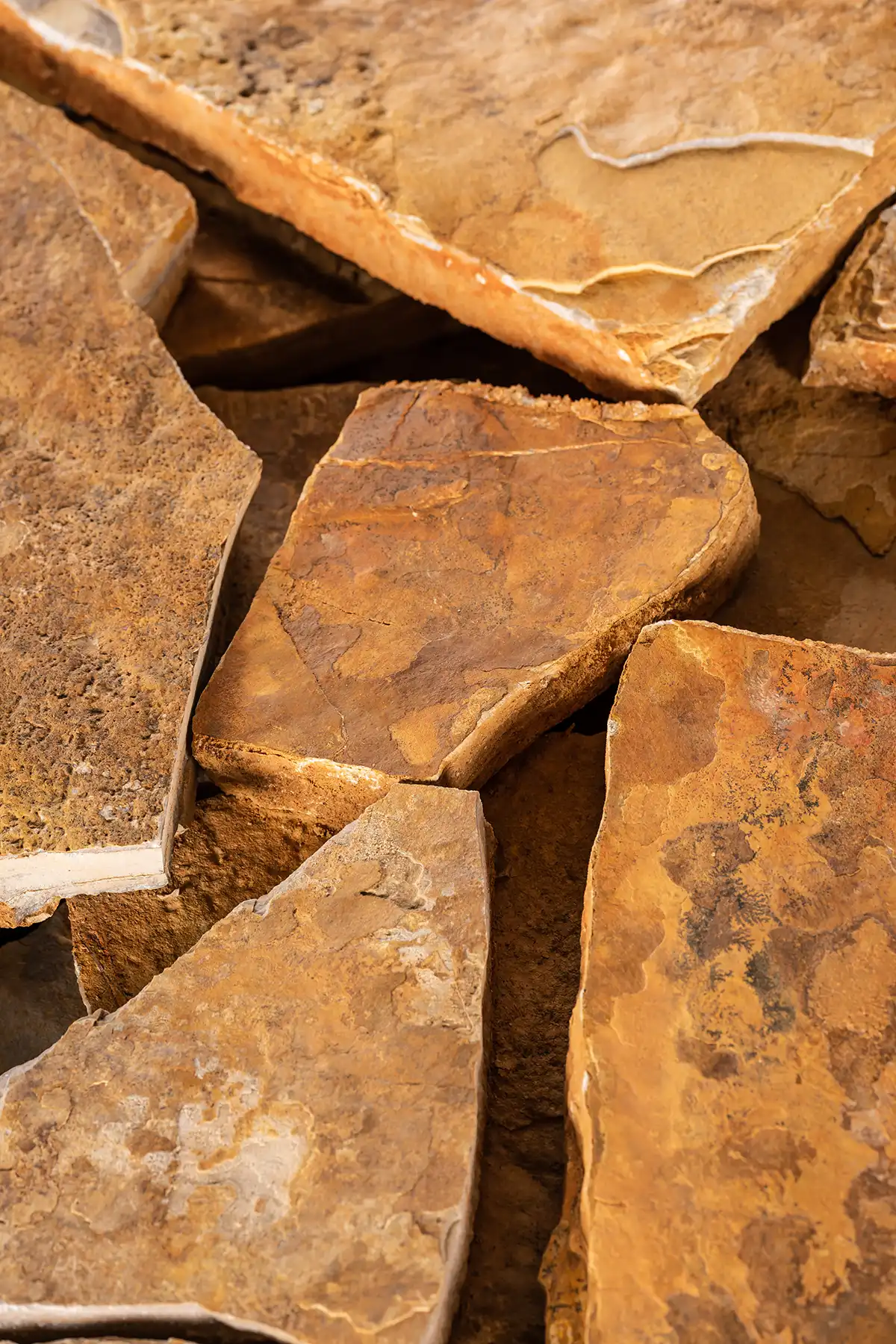 VIEJA-CASTILLA-1-copia