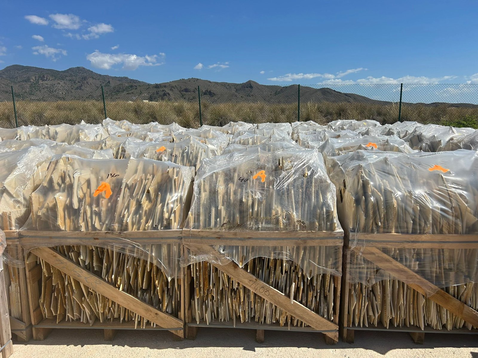 WhatsApp Image 2025-12-15 at 20.22.43